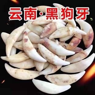 Real Dog Tooth Jewelry Wolf Tooth Pendant Necklace Original Color Black Dog Tooth Xizang Mastiff Tooth Wholesale Street Stall Goods Scenic Spot Supply