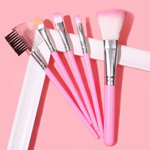 Five brushes 5 makeup brushes suit pink beauty tools wholesale portable eye shadow brush gifts one-piece delivery