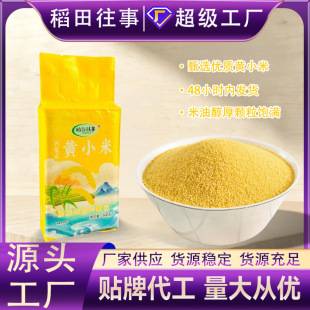 Inner Mongolia Yellow Millet 500g Vacuum-Packed New Rice Whole Grains Coarse Grains Fragrant Glutinous Millet Porridge Millet Coarse Grains
