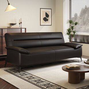 Cat-Scratch Resistant Leather Sofa for Living Room, Apartment, Dual-Purpose Sofa Bed, Rental Apartment Leather Sofa, Three-Seater Simple Sofa Bed
