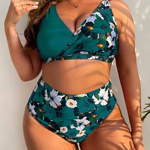 2025 European and American Plus-Size Swimwear Bikini Set Sexy Push-Up Two-Piece