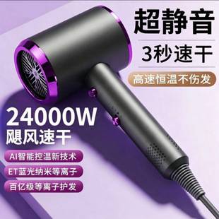 New German hair dryer for home and dormitory use, suitable for students, with negative ions that do not damage hair, high-power, hot and cold air, and silent operation