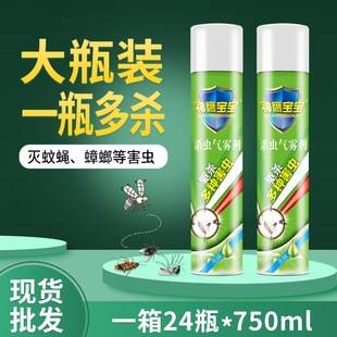 Insecticide Aerosol Household Spray Indoor Flies Mosquito Cockroaches Insecticide Spray Insecticide