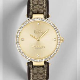 Suitable for replacing Kouchi PAKRK Series C logo cloth leather strap 34mm quartz strap 14503456