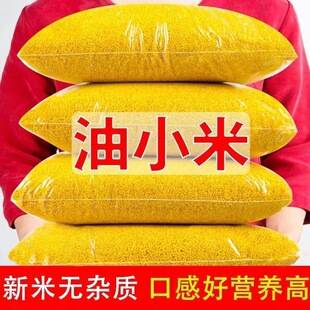 Shaanxi yellow millet, authentic farm fresh produce, five-grain and mixed grain, glutinous and delicious millet porridge 2.5kg pack