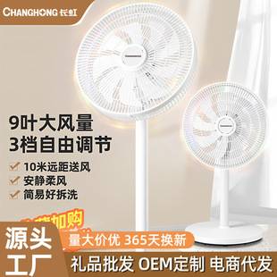 Changhong Electric Fan for Home Use, Floor Fan for Bedroom, Silent Oscillating Stand Fan, Strong Wind Floor Fan, Wholesale Fan