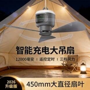 Wireless Small Ceiling Fan USB Charging Outdoor Camping Tent Fan Remote Control Timer with Night Light Dormitory Mosquito Net Ceiling Fan