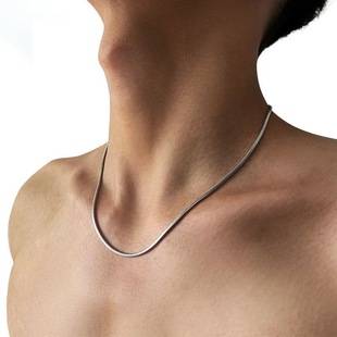 Titanium Steel Plain Ring Necklace Men's Ins Trendy Sweet and Cool Stylish Snake Bone Chain Hip-Hop Style Simple Sweater Chain Non-Fading Necklace