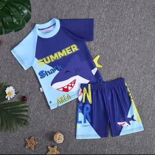 New Children's Swimsuit Set for Boys, Summer Two-Piece Swimwear for Young and Middle-Aged Boys, Quick-Dry Baby Swim Trunks and Swimsuit Set