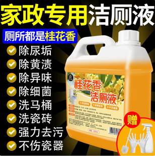 Osmanthus Scented Toilet Cleaner Liquid Toilet Cleaner Descaling Deodorizing Fragrance Powerful Stain Remover Urine Alkali Toilet Cleaner