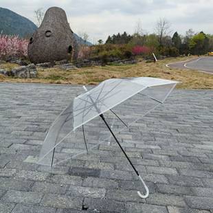 Transparent Umbrella Long Handle Transparent Umbrella Disposable Umbrella Wholesale Simple Transparent Umbrella Children's Umbrella Advertising Umbrella Logo