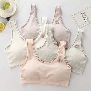 Teenage Girls' Underwear, Junior High School Students, High School Students, Girls' Development Period Vests, Youth Bras, Cotton