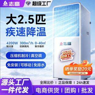Chigo Mobile Air Conditioner, Single Cooling and Heating Unit, No External Unit, Portable for Home Rental, Small Dual-Use for Cooling and Heating