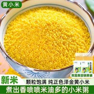 Yellow millet new crop 100g/500g authentic millet with high oil content, small yellow millet, whole grain, mixed grain, millet porridge, millet with high oil content