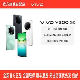 Vivo Y300 All-Network 5g Smartphone with Long Battery Life, Large Memory, Eye Protection, 6.77-Inch Screen, 6500Mah