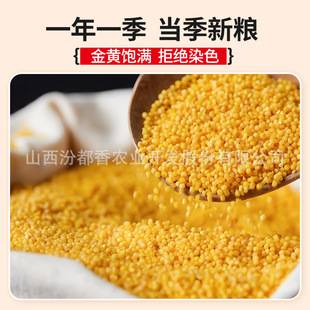 Shanxi Yellow Millet Specialty, Mizhi Seasonal Millet Porridge, Small Yellow Millet, High-Quality New Millet, Authentic Mountain Millet, Millet Oil
