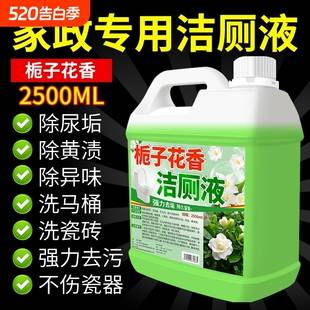 Toilet Cleaner Powerful Descaling and Deodorizing Liquid, Fresh-Scented Toilet Cleaning Agent, Powerful Stain Remover, Removes Yellow Stains and Leaves Fragrance