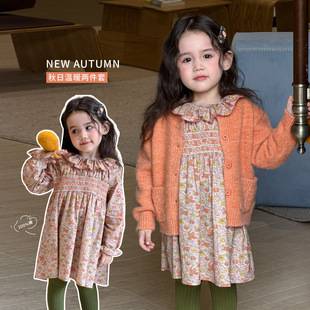 ZheLi children's clothing girls' dress, autumn long-sleeve children's floral dress with lace collar, princess dress, Class A baby dress