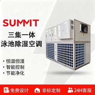 Three-In-One Swimming Pool Constant Temperature Dehumidification Heat Pump Unit Indoor Swimming Pool Air Source Heat Pump Equipment