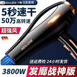 German Hair Dryer Household High-Power Hair Salon Special Barber Shop 3800W Negative Ion Hair Care Quick-Drying Hair Dryer
