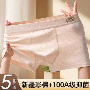 Men's Underwear Baby Cotton Men's Pure Cotton Bacteriostatic Boxer Briefs Comfortable Shorts Head Loose Color Cotton Breathable Shorts