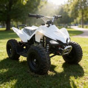Cross-border export 49cc Little Mars youth and children's ATV all-terrain beach off-road quad bike