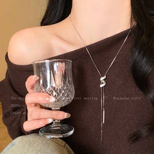 Exquisite Autumn and Winter Sweater Chain Women's Niche Accessible Luxury High-End Elegant Long Necklace 2025 New Accessories