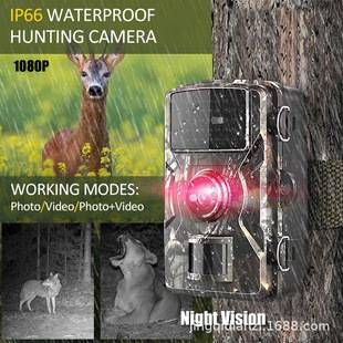 HD Wildlife Tracking Camera Outdoor Courtyard Infrared Hunting Camera Waterproof Investigation Animal Field Camera