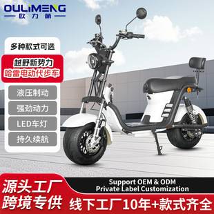 Small Harley-Style Electric Motorcycle, Cruiser Motorcycle, Electric Harley Bike, Two-Wheeler, Cruiser Bike, Wide-Tire Off-Road Vehicle