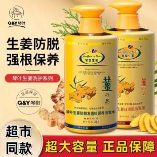 Authentic Ginger Leaf Ginger Shampoo, Ginger Mud Conditioner, Ginger Juice Oil Control, Anti-Dandruff, Anti-Itch, Moisturizing