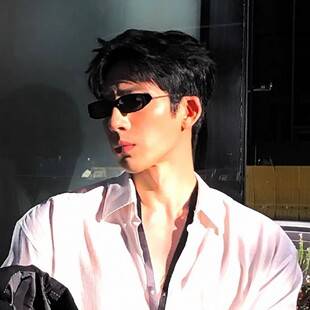 Jin Bairan's same style old money style small frame sunglasses, unisex, high-end square retro niche trendy street style plain glasses
