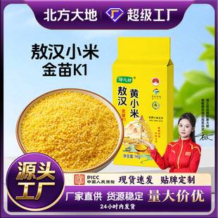 Green Field Seasonal New Rice: Aohan Yellow Millet 1.0kg and Chifeng Authentic Five-Grain Golden Millet k1 Fresh Yellow Glutinous Rice