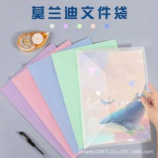 A4 File Bag Snaps Bag Office File Bag Transparent Multicolor Morandi File Material Student Test Paper Storage Bag