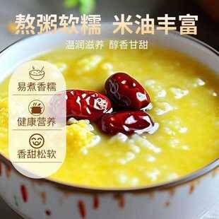 [Wholesale] 500g Bagged Farmhouse Yellow Millet, Whole Grains for Breakfast, New Rice, Millet Porridge with Rich Oil Content