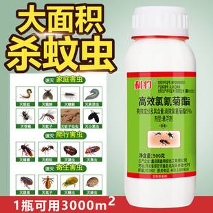 Concentrated Insecticide Fly Medicine Cockroach Mosquito Farm Outdoor Hotel Farm Household High-Efficiency Cypermethrin