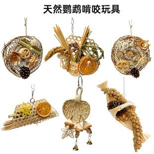 Parrot bird toy wooden fruit chewing string pine cone corn cob wheat straw for teeth grinding and boredom relief bird cage supplies wholesale
