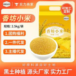 Hualiang Yellow Millet 2.5kg Northeast Yellow Millet Whole Grains Coarse Grains Small Yellow Millet Directly from Manufacturer Yellow Millet