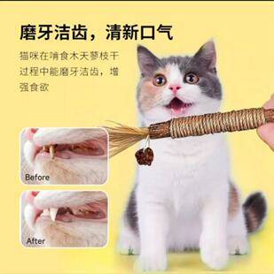 Catnip Wood Cat Toy for Teeth Cleaning, Durable Chew Toy for Kittens, Mint Pet Cat Toy for Entertainment