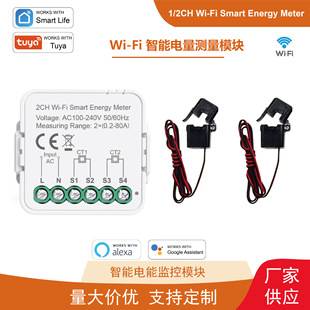 Tuya Graffiti Wifi Smart Home Smart Meter Switch Smart Switch Household Meter Power Monitoring