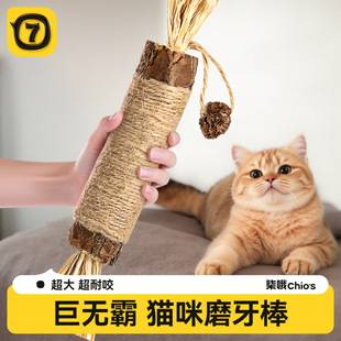 Shake Sound Explosions Polygonum Kipponicum Cat Grinding Stick Cat Toy Cleansing Kitten Bite Resistant Catnip Snacks
