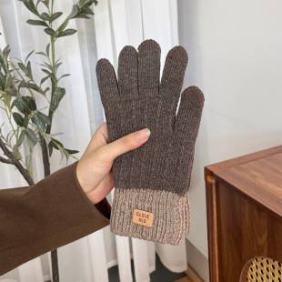 Knitted Gloves for Men and Women in Winter Touch Screen Warm Cycling Gloves Plus Plush Wool Autumn and Winter Thickeneded to Prevent Cold and Wind