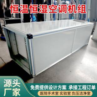Constant Temperature and Humidity Fresh Air Unit Central Air Conditioning Unit Air Treatment Equipment Combined Fresh Air Unit