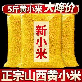 New Glutinous Seasonal 1m Grain Yellow Millet New Rice Farm Fresh Grains Rice Postpartum Shanxi Yellow Millet Millet 2.5kg