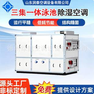 20kg Swimming Pool Heat Pump Dehumidification Underground Swimming Pool Dehumidification Special Dehumidification All-In-One Machine