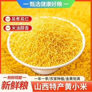 Huangxiao Mi 25-Year-Old Farm Fresh Rice, Whole Grains, Corn, Coarse Grains, Millet Porridge with Rich Oil Content 2.5kg One Piece Drop Shipping