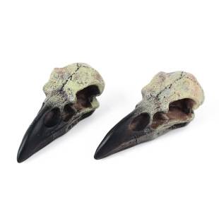 Cross-border Trade Crow Skull Necklace Resin Replica Gothic Gift Bird Skull Jewelry Pendant Accessories