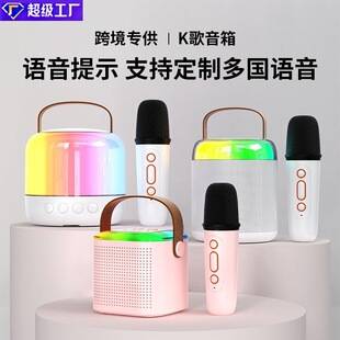 Y2 Portable Handheld Wireless Karaoke Bluetooth Speaker Home Outdoor Children's Singing Microphone Mini Speaker