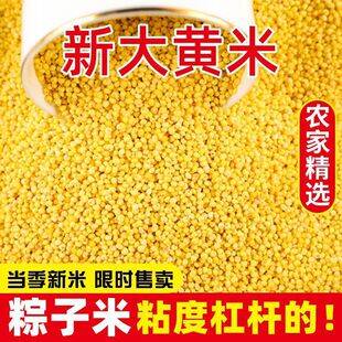 Fendu Xiangshan West 2.5kg Yellow Millet, New Crop, Premium Farmhouse Glutinous Millet, Postpartum Five-Grain Mixed Grains, Small Yellow Millet for Breakfast
