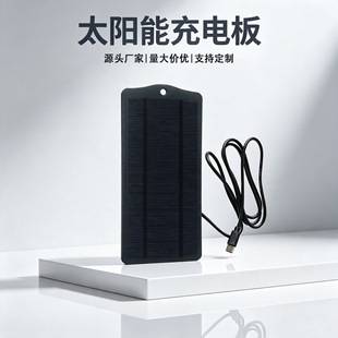 2.5W5V Solar Charging Panel for Camera Security Monitoring Solar Mobile Phone Battery Charger Type C