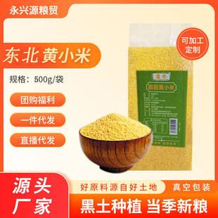 Huangxiao Mi New Rice Porridge 500g Vacuum Packed Source Factory Northeastern Millet New Rice Wholesale Whole Grain Rice
